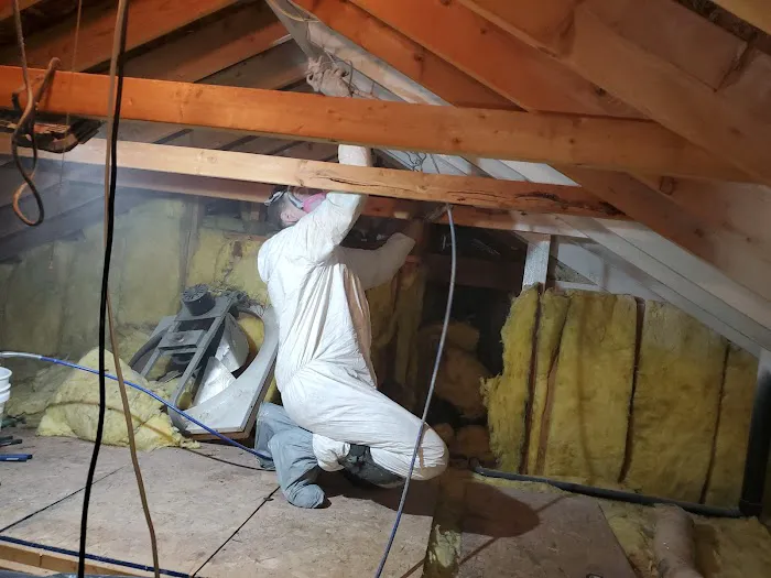 Pocono Mold Control Picture 6