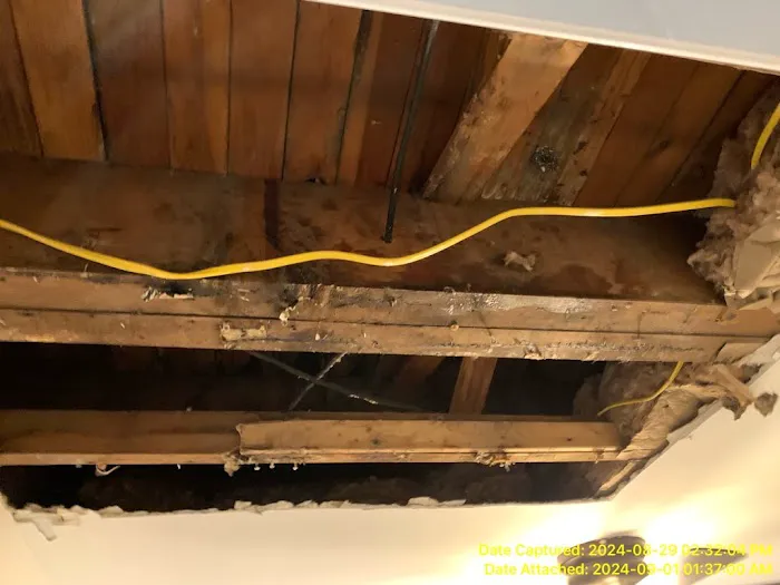 Prime Restoration Picture 2