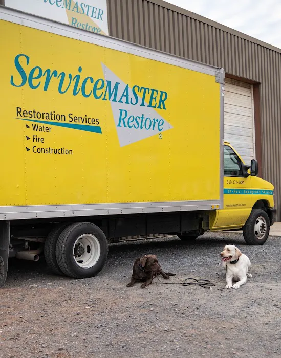 ServiceMaster Assured Cleaning Picture 6