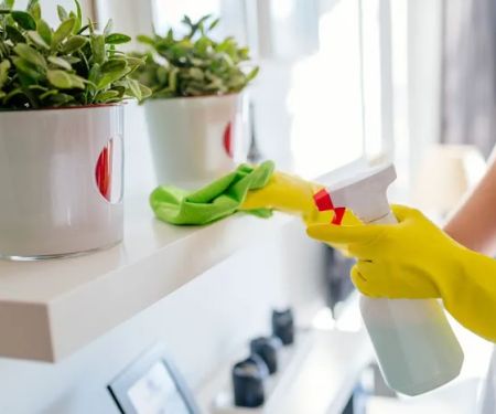 PuroClean of Breinigsville