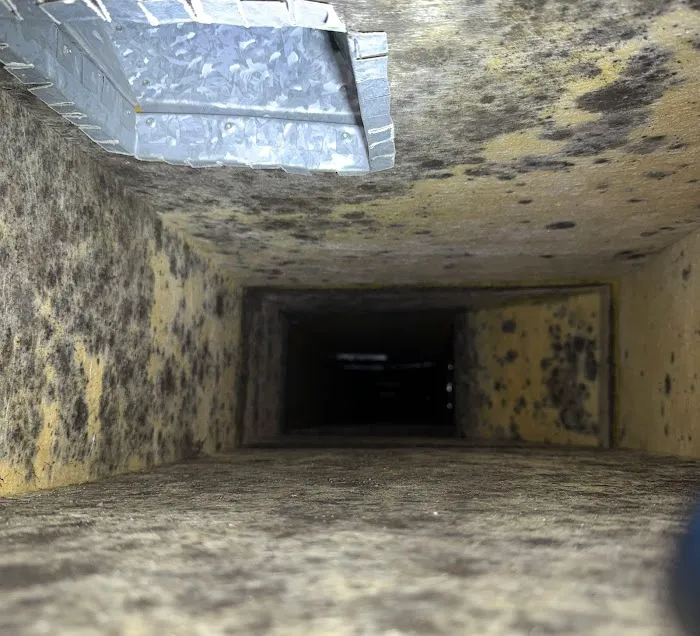 Aether Assessments, LLC Picture 9