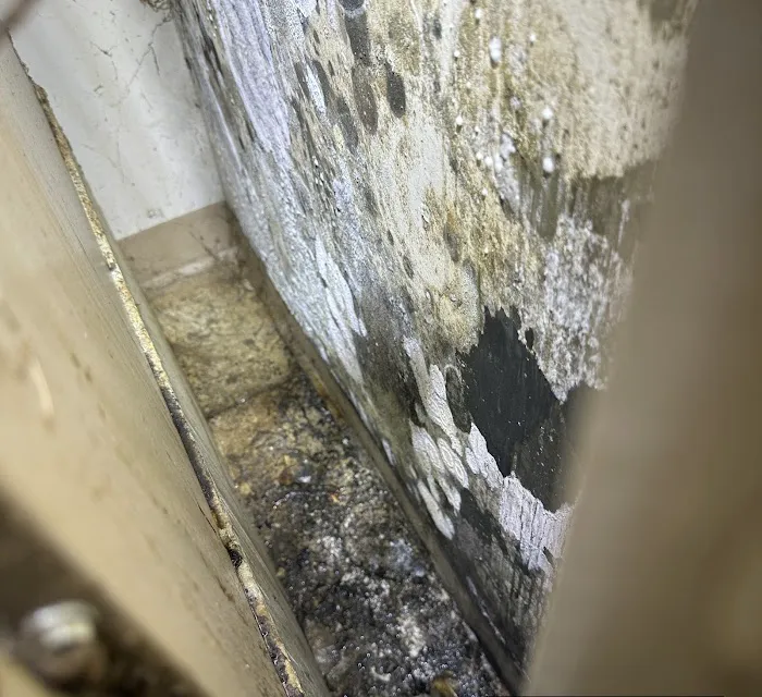 Aether Assessments, LLC Picture 10