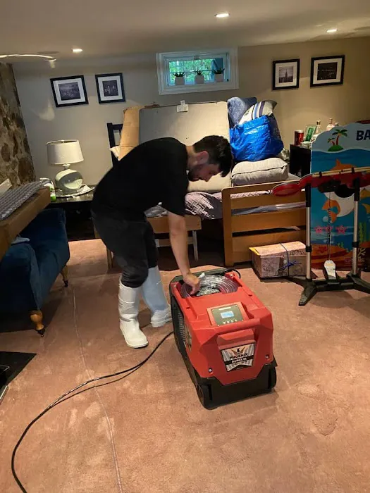 All Dry Services Harrisburg Picture 4