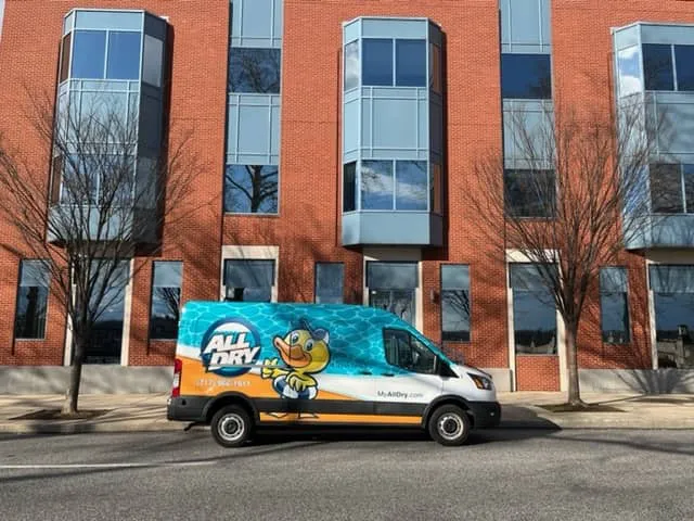 All Dry Services Harrisburg Picture 2