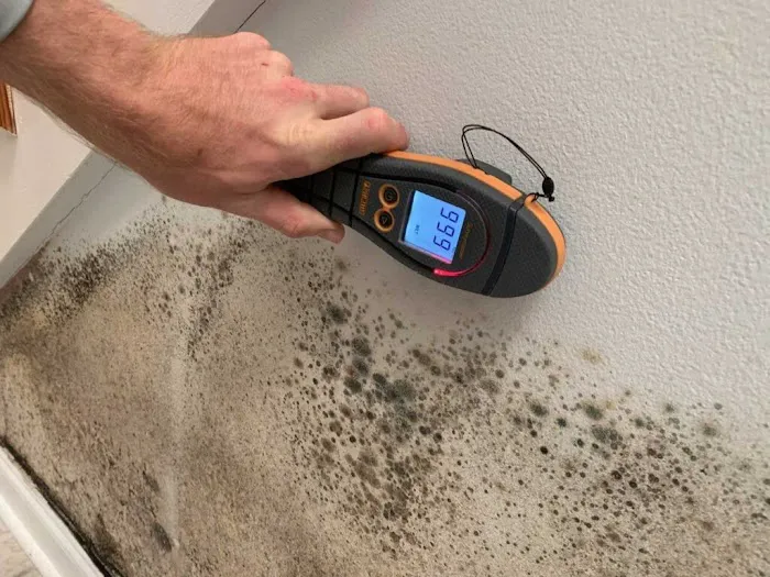 All Dry Services Harrisburg Picture 10