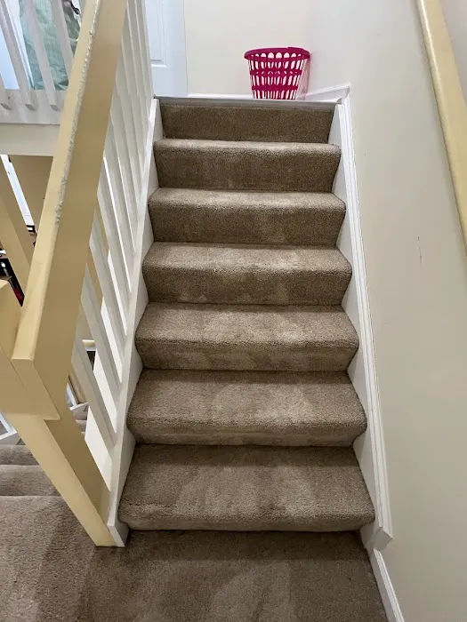 Stanley Steemer Picture 3