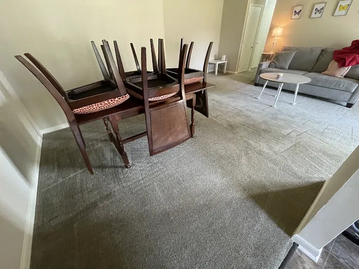 Stanley Steemer Picture 9