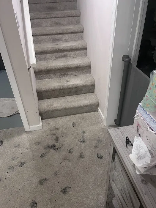 Stanley Steemer Picture 4