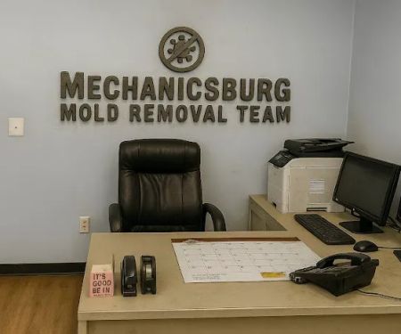 Mechanicsburg Mold Removal Team