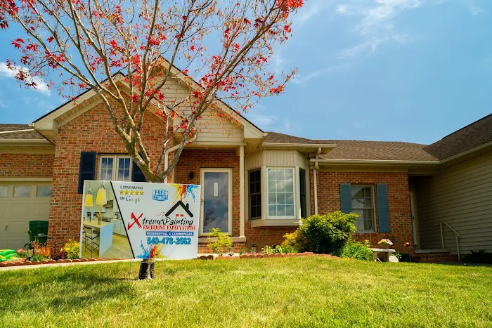 Xtreme Painting Picture 9