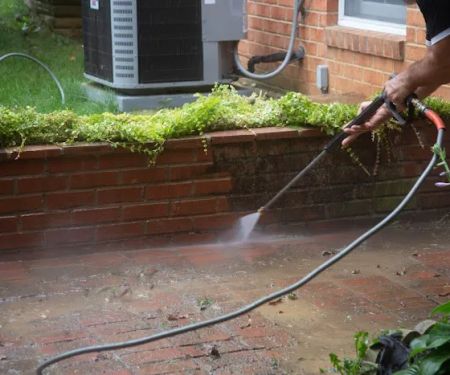 Surratt's Window Cleaning & Painting