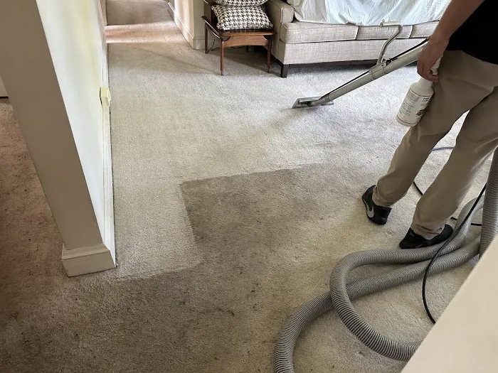 Stanley Steemer Picture 9