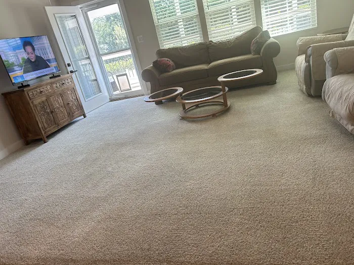 Stanley Steemer Picture 10