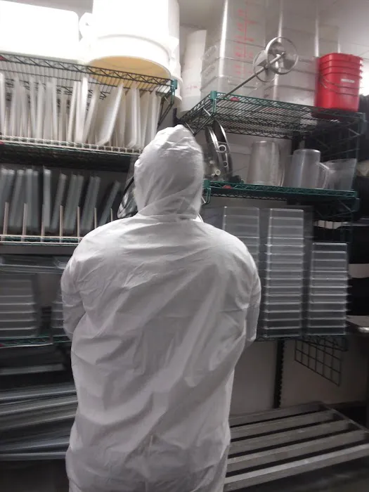 KLEEN N TEAM Picture 2