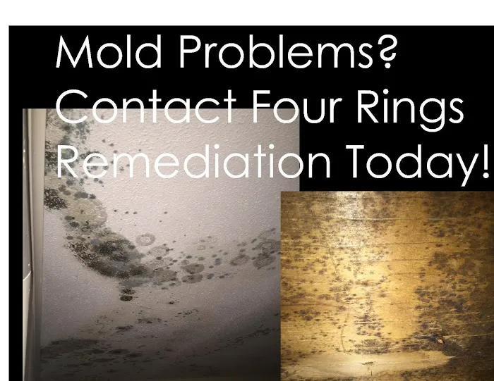 Four Rings Picture 1