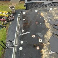 Blue Collar Services LLC ico