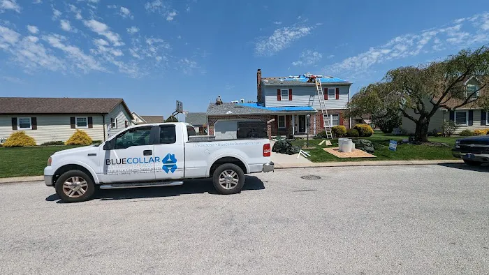 Blue Collar Services LLC Picture 6