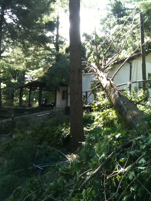 ASJ Emergency & Specialty Cleaning Service Picture 3