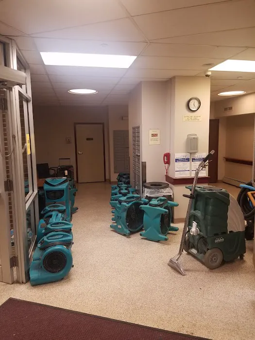 Cameo Services Inc Picture 1