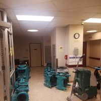 Cameo Services Inc ico