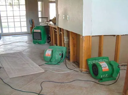 Eco Pro Restoration Picture 9