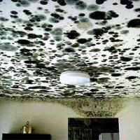 Eco Pro Restoration ico