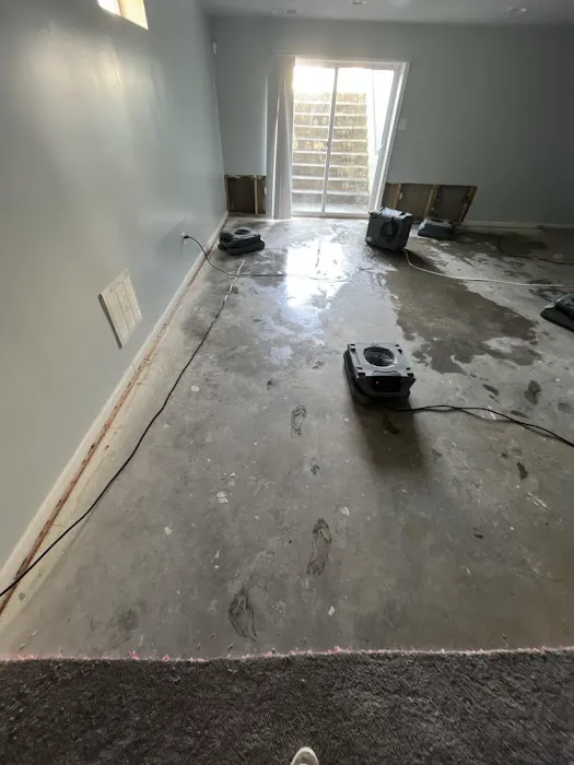 EcoClean Restoration Picture 9