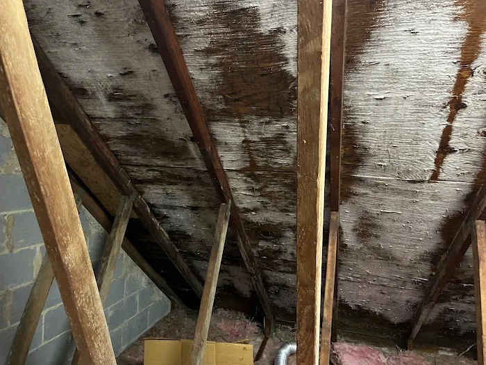 EcoClean Restoration Picture 4