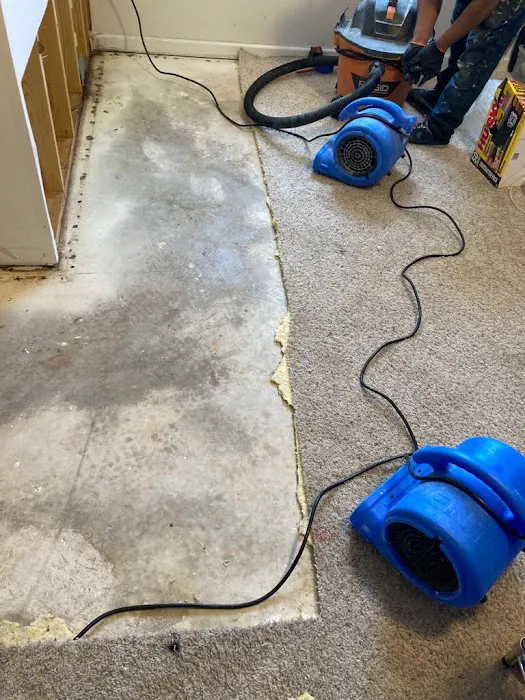 RPS RESTORATION Picture 8