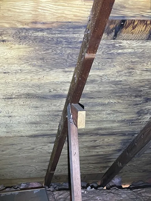 Green Clean Restoration Picture 5