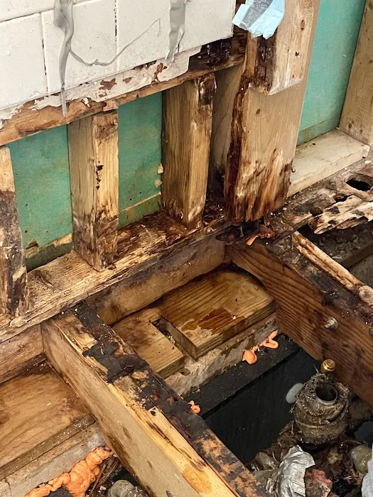 Green Clean Restoration Picture 9