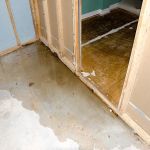 Green Clean Restoration