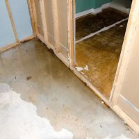 Green Clean Restoration ico