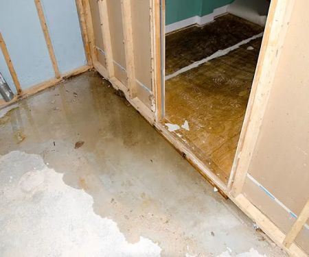 Green Clean Restoration