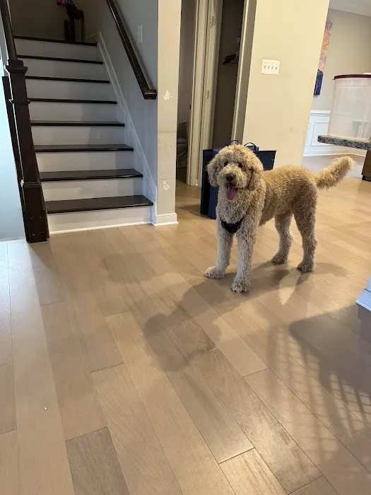 911 Restoration of Central Maryland Picture 6