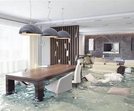 BLTMR Restoration Company