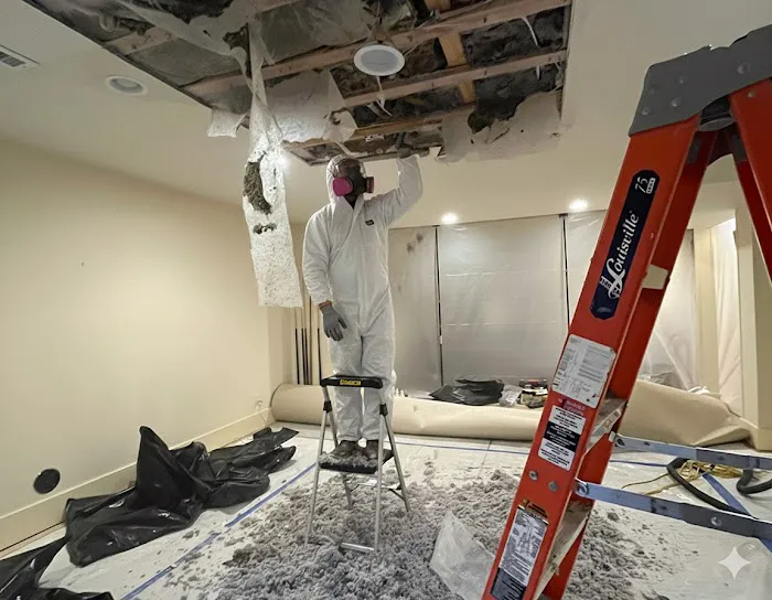 Serve Xpert Picture 9