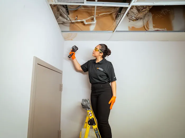 Barex of DMV Picture 4