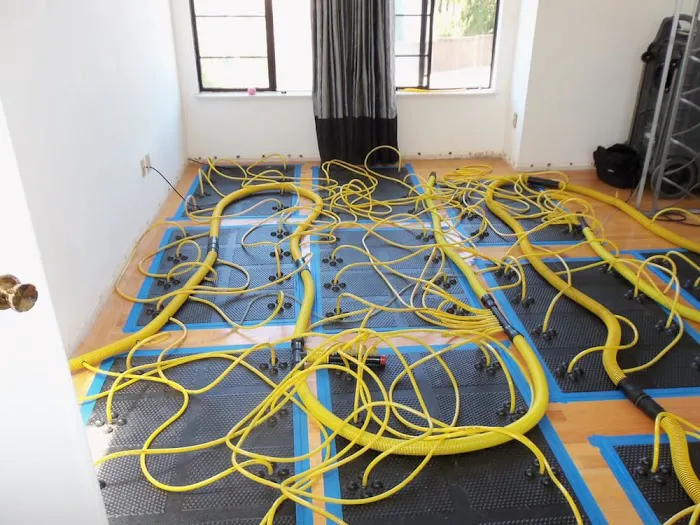 Flood Doctor | Water Damage Restoration Services Picture 5