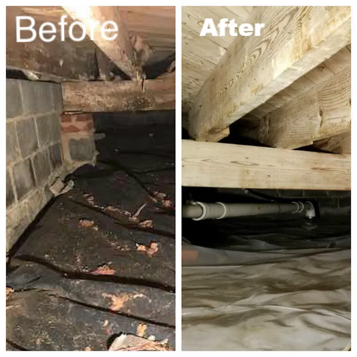 PuroClean of McLean and West Falls Church Picture 6