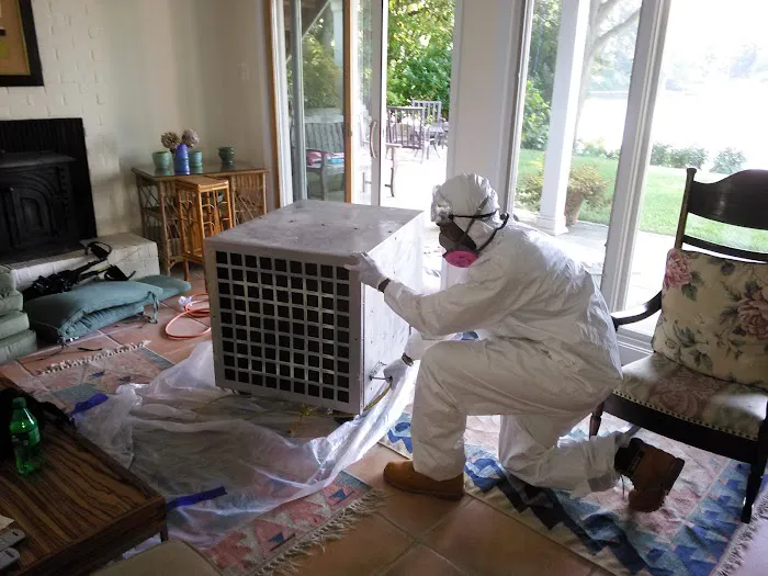 Home Safe Mold Remediation LLC / A&R Picture 8