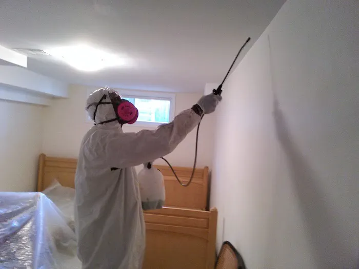 Home Safe Mold Remediation LLC / A&R Picture 2