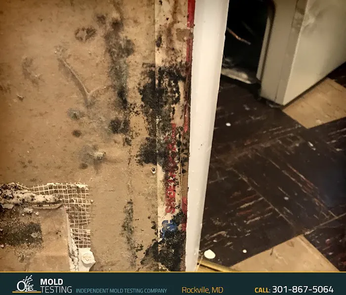 O2 Mold Testing of Rockville Picture 10