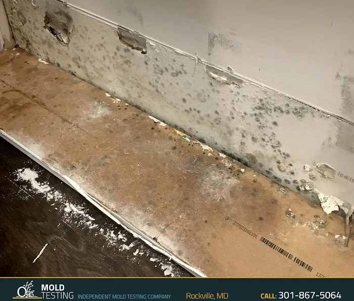 O2 Mold Testing of Rockville Picture 4