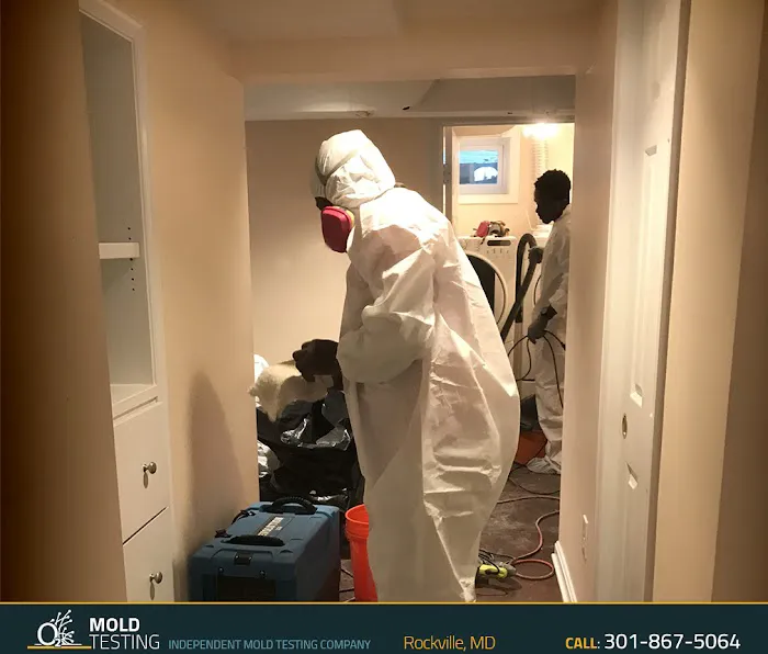 O2 Mold Testing of Rockville Picture 5