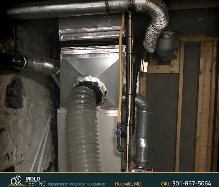 O2 Mold Testing of Rockville Picture 9