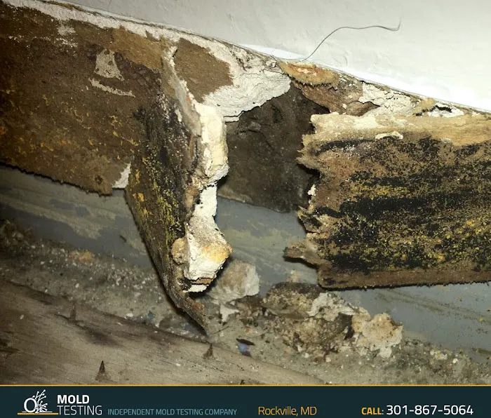 O2 Mold Testing of Rockville Picture 6