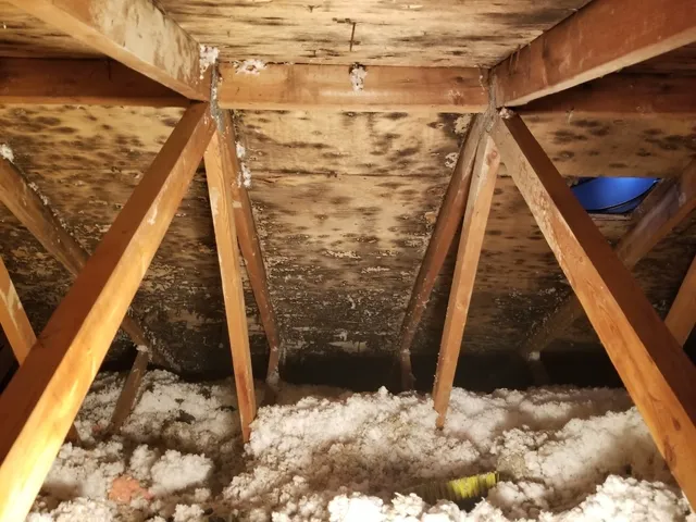 All Restoration Services Picture 2