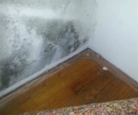 Butler Water Damage Restoration