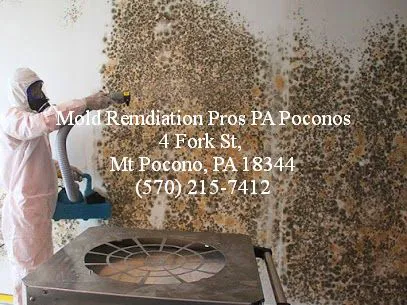 Mold Pros PA Picture 9